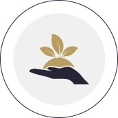 产出附加值高