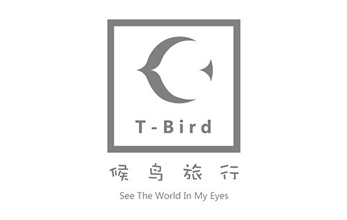 相关文章