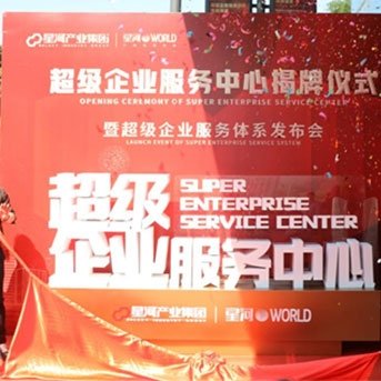 咨询顾问