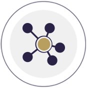 william威廉亚洲使用方法组建专